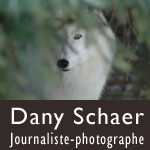 Dany Schaer - Journaliste-photographe